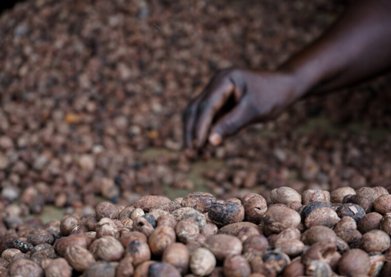 Photos and words from Ghana
